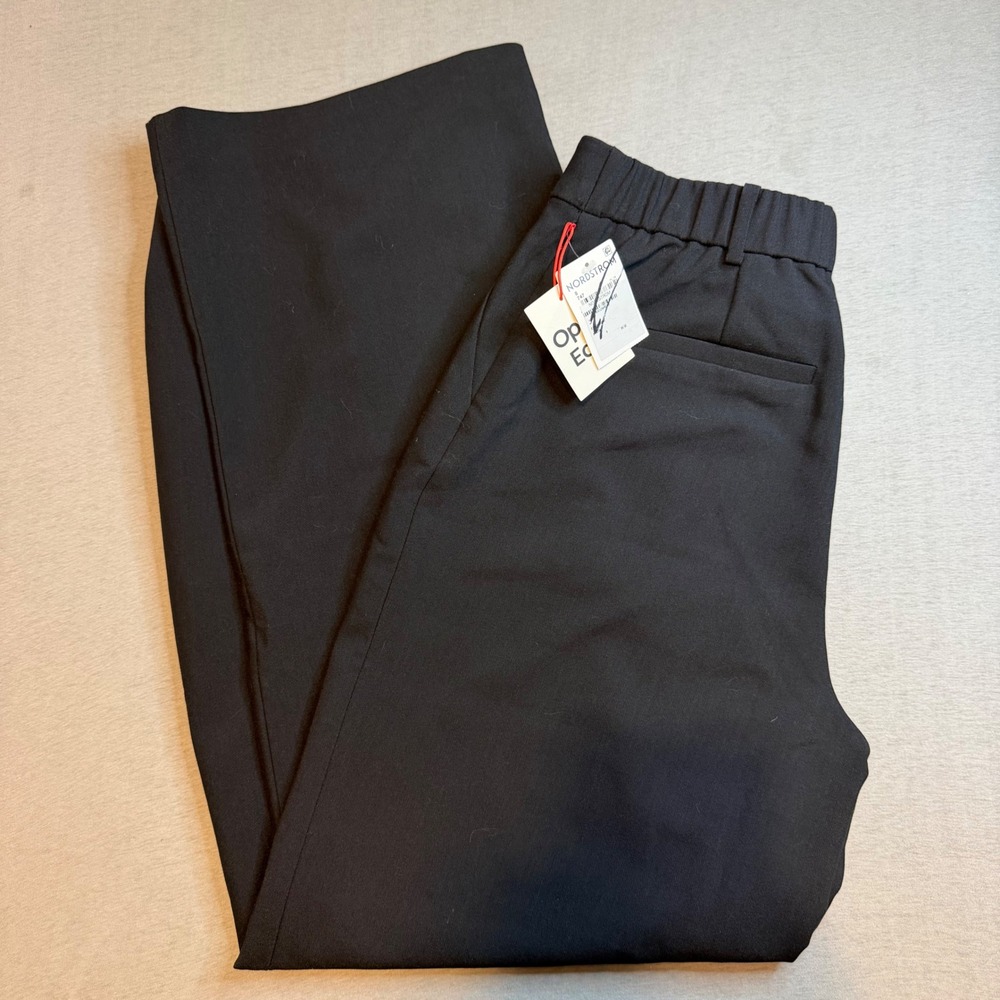 Open Edit Women Black Pleated Wide Leg Trousers High Rise Dress Pants Size 8 NWT